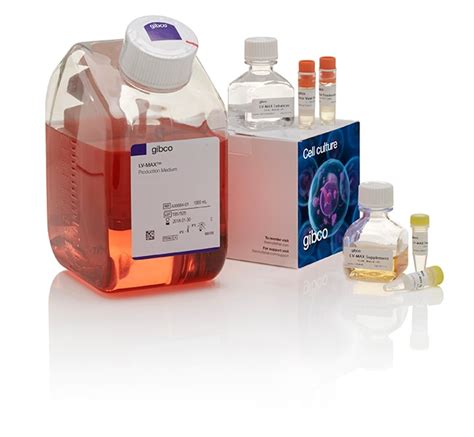 lv max lentiviral production system